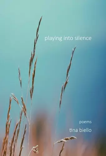 Playing Into Silence cover