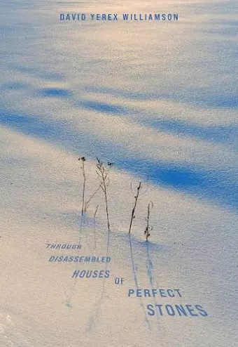 Through Disassembled Houses of Perfect Stones cover