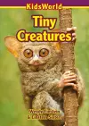 Tiny Creatures cover