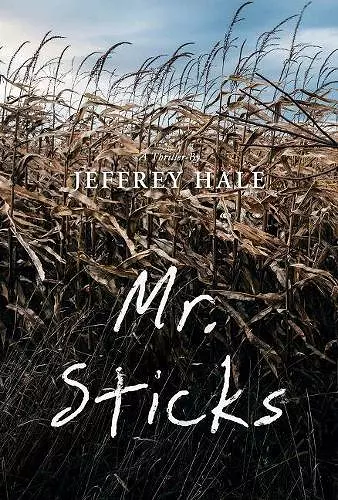 Mr. Sticks cover