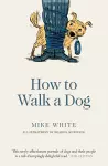 How to Walk a Dog cover