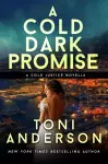 A Cold Dark Promise cover