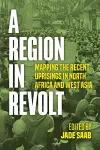 A Region in Revolt cover