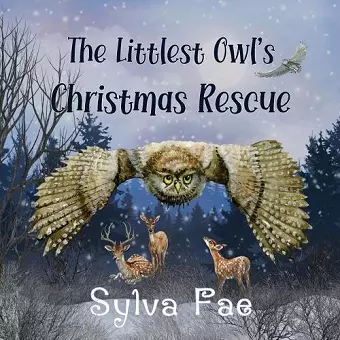 The Littlest Owl's Christmas Rescue cover