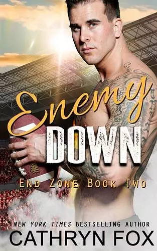 Enemy Down cover