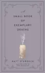 A Small Book of Exemplary Deaths cover