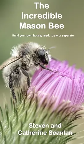 The Incredible Mason Bee cover