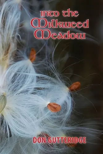 Into the Milkweed Meadow cover