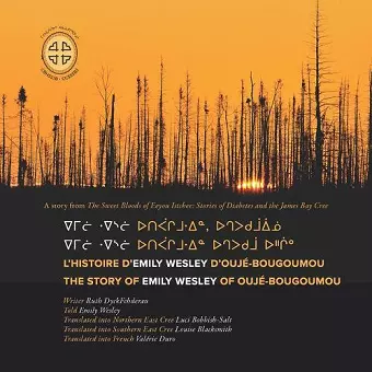 L'histoire d'Emily Wesley d'Oujé-Bougoumou/The Story of Rose Swallow of Chisasibi cover