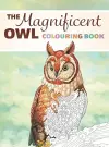 The Magnificent Owl Colouring Book cover