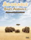 Adorable Baby Animals Grayscale Coloring Book cover