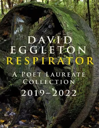 Respirator cover