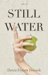 Stillwater cover