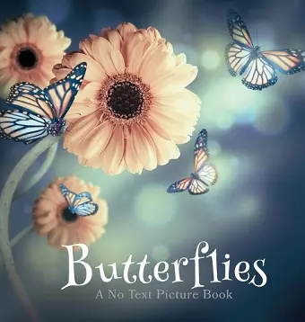 Butterflies, A No Text Picture Book cover