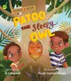 Patoo the Sleepy Owl cover