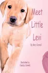 Meet Little Levi cover