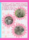The Bold and Beautiful Bunnies of Jericho Beach cover