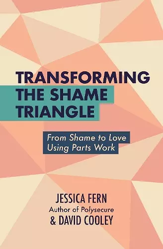 Transforming the Shame Triangle cover