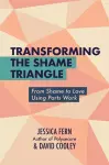 Transforming the Shame Triangle cover