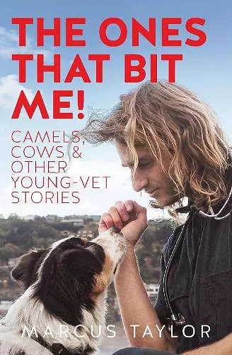 The Ones That Bit Me! cover