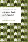 Native Plants of Aotearoa cover
