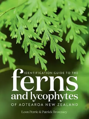 Identification Guide to the Ferns and Lycophytes of Aotearoa NZ cover