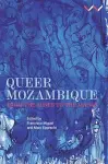 Queer Mozambique cover