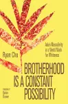 Brotherhood is a Constant Possibility cover