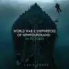World War II Shipwrecks of Newfoundland cover