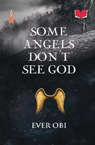 Some Angels Don’t See God cover