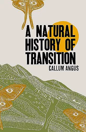 A Natural History Of Transition cover