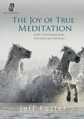 The joy of True Meditation cover