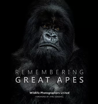 Remembering Great Apes cover