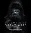 Remembering Great Apes cover