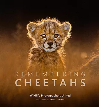 Remembering Cheetahs cover
