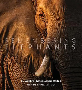 Remembering Elephants cover
