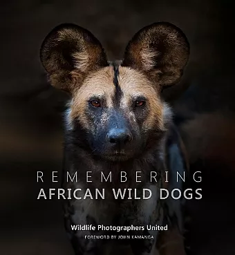 Remembering African Wild Dogs cover