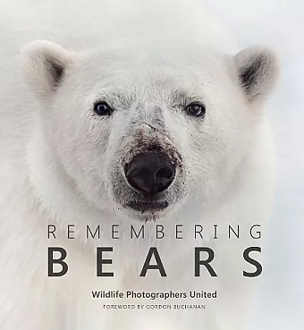 Remembering Bears cover