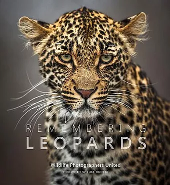 Remembering Leopards cover
