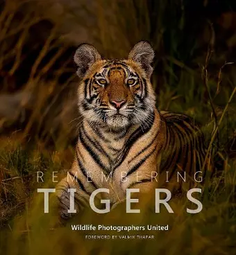Remembering Tigers cover