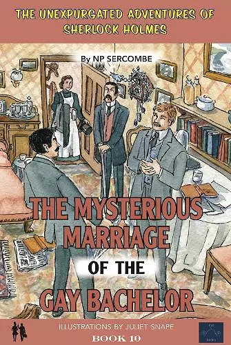 The Mysterious Marriage of the Gay Bachelor cover