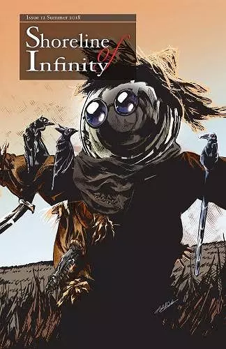 Shoreline of Infinity 12 cover