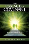 The Essence of Covenant cover