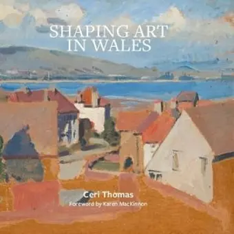 Shaping Art in Wales cover