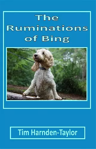 The Ruminations of Bing cover