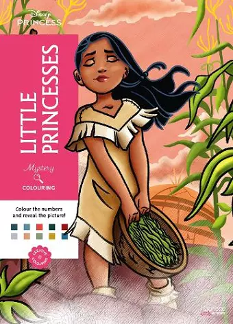Mystery Colouring  - Little Princesses cover