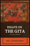 Essays on the GITA cover