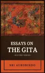 Essays on the GITA cover