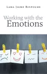 Working With the Emotions cover