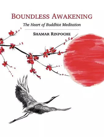 Boundless Awakening cover